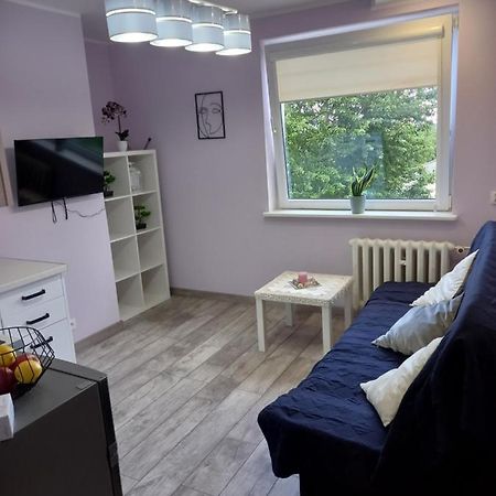 Mieszkanie 16M2 Gdansk Orunia Apartment Екстериор снимка