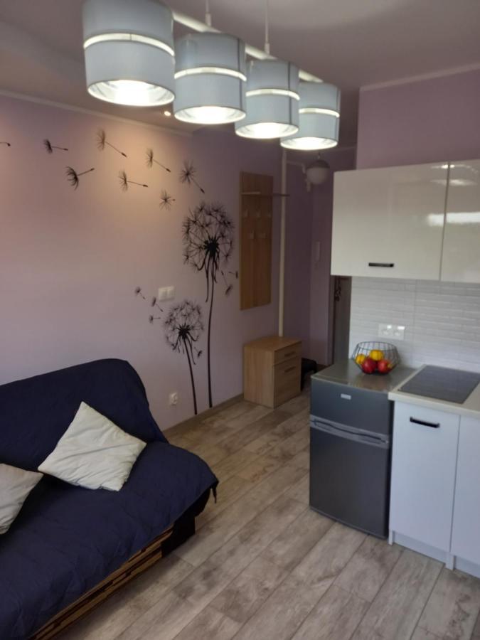 Mieszkanie 16M2 Gdansk Orunia Apartment Екстериор снимка