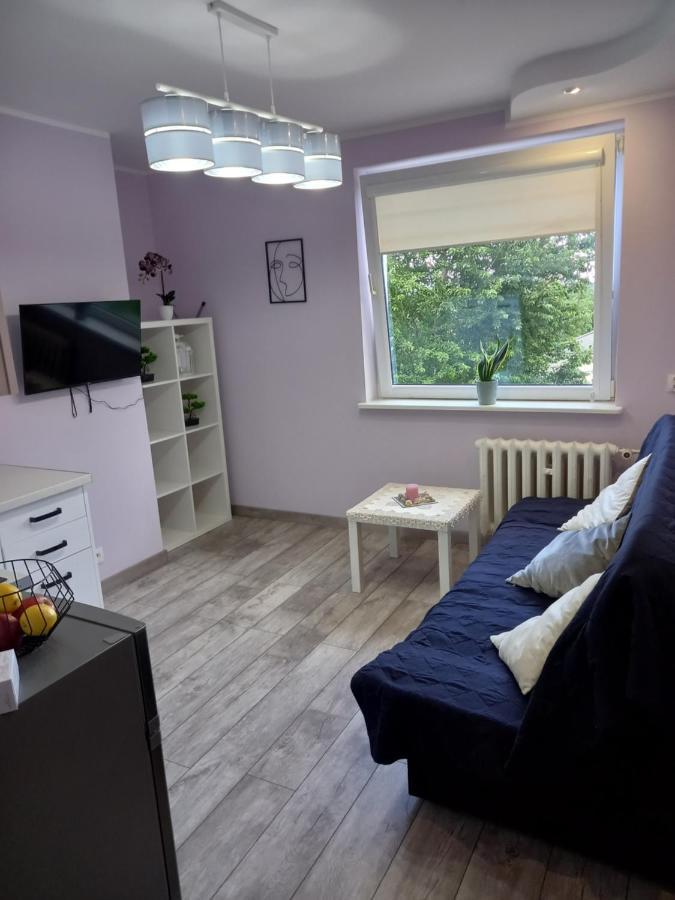 Mieszkanie 16M2 Gdansk Orunia Apartment Екстериор снимка